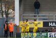 League One Saturday's Predictions