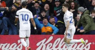 Leeds United vs. Norwich City: A Clash for Promotion - Match Preview