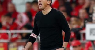 Get ready for Primeira Liga action! Predictions for Benfica vs. Gil Vicente, Chaves vs. Farense, Vizela vs. Guimaraes, and more revealed here.